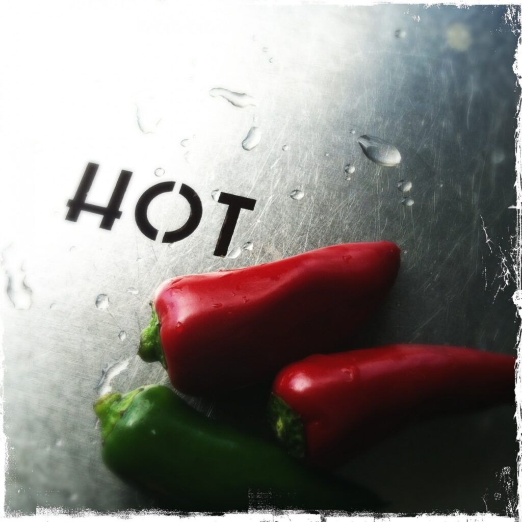 Top Tips for a Healthy BBQ...