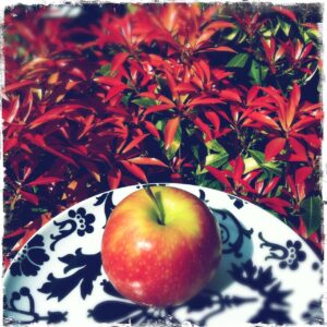 Top Tips for New Year Weight Loss...