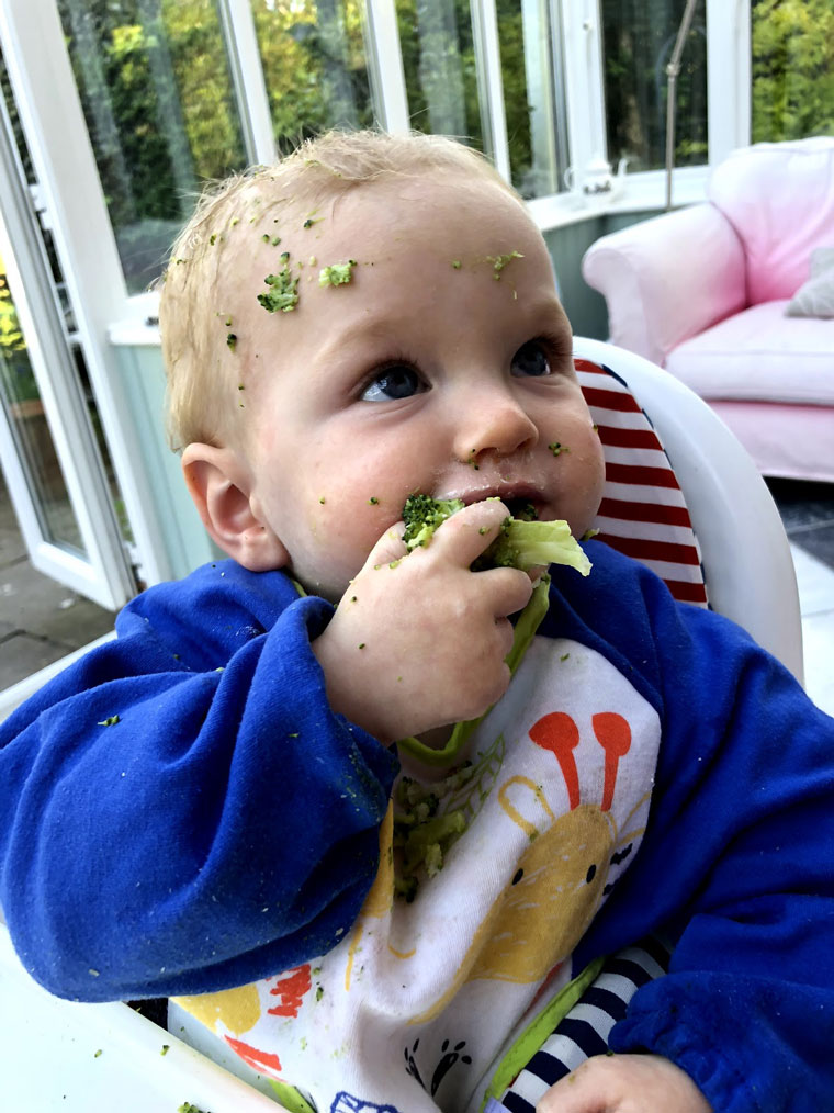 Weaning: What to Expect During Weaning – Blog for Jojo Maman Bebe
