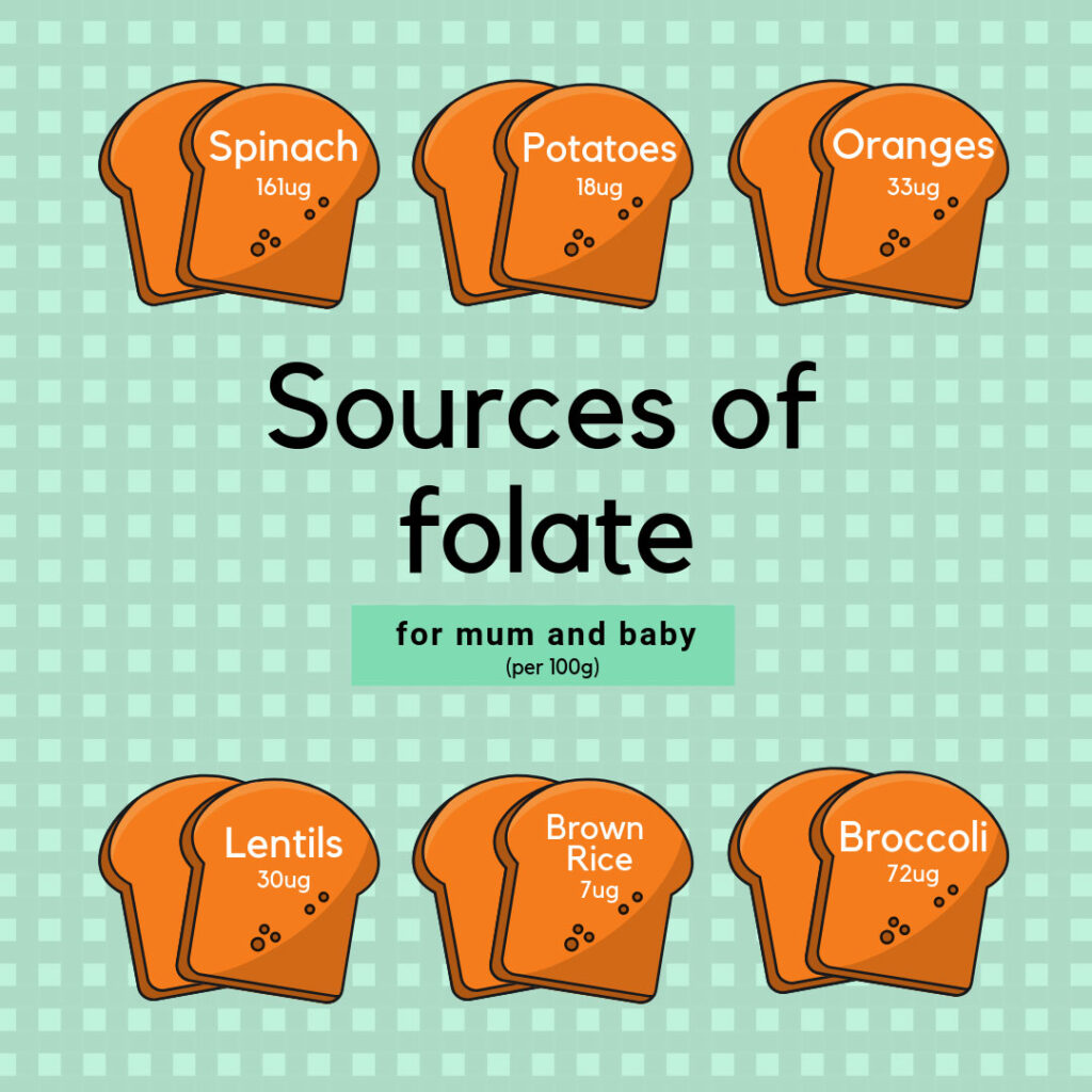 Fortifying Flour with Folic Acid