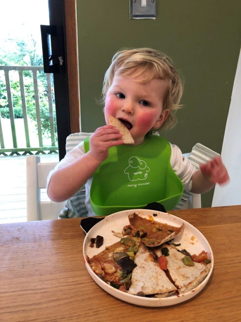 Veggie Pizza Wraps Recipe for Babies and Toddlers