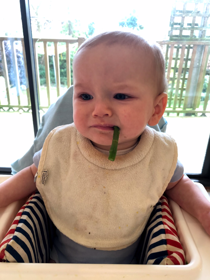Food Refusal in Babies