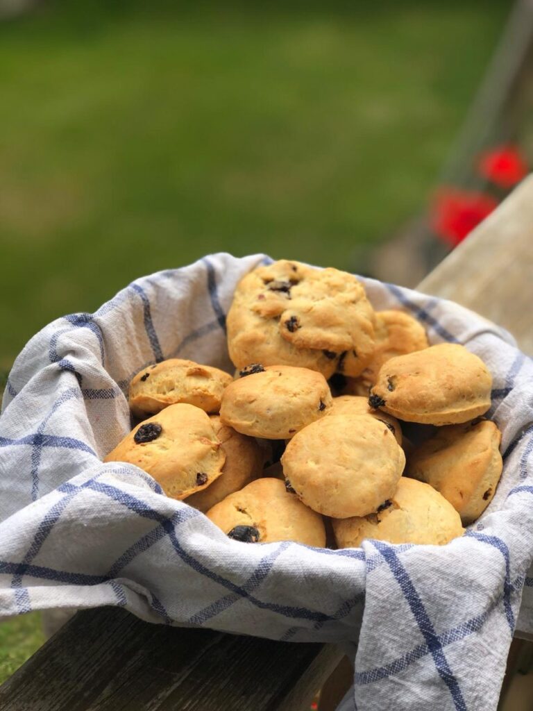 7 Days of Snacks for Toddlers and Young Children