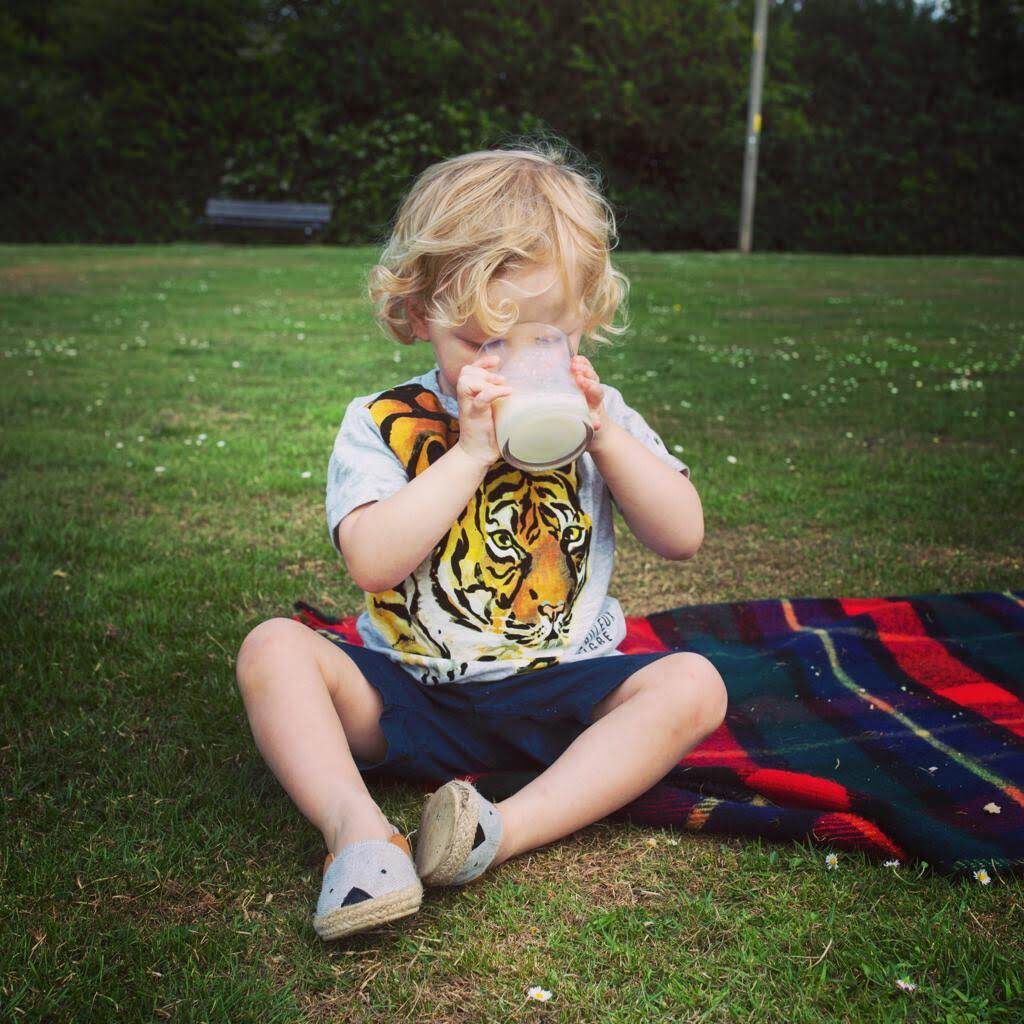 What Should I Do When My Child Refuses Their Meal?