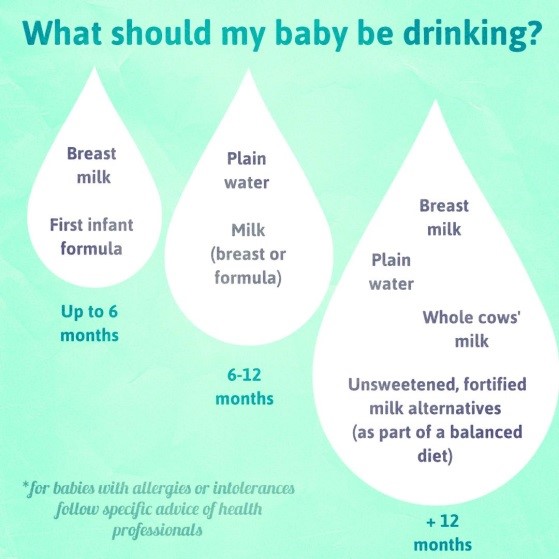 What Should My Baby or Toddler Be Drinking?