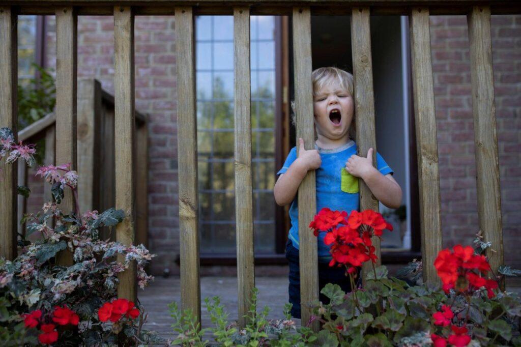Supporting Toddler Behaviour