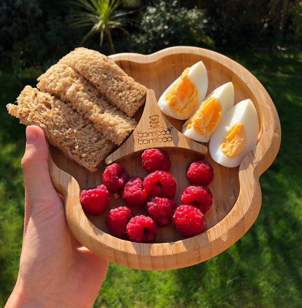 Snacks for Toddlers and Young Children