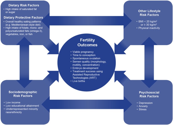What Foods are Best to Help with Fertility?