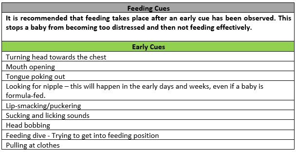 Responsive Feeding For Babies