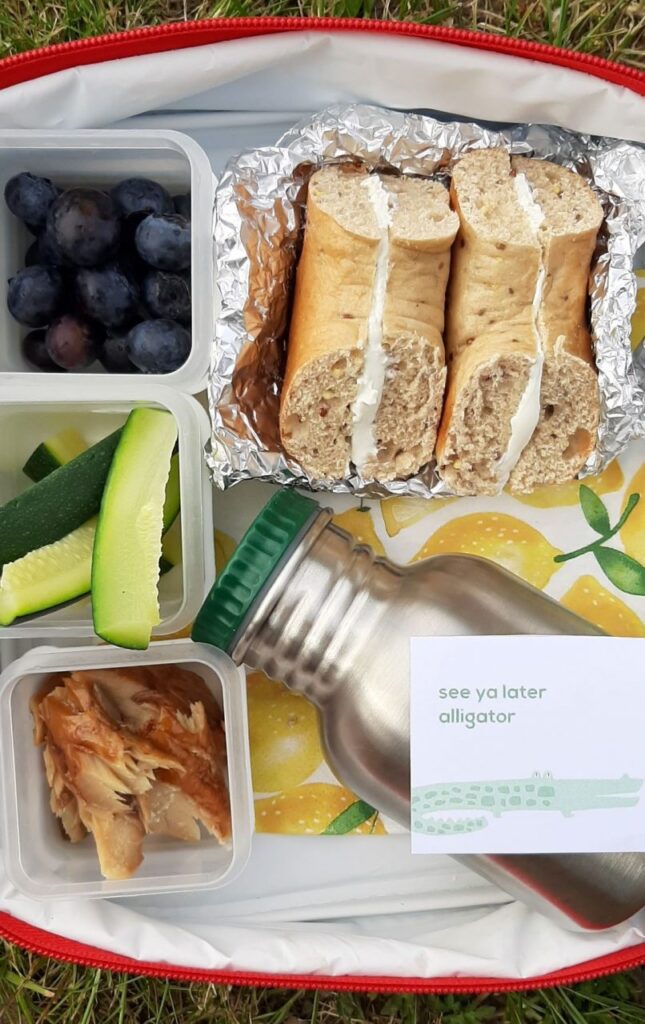 Healthy Packed Lunches for Children