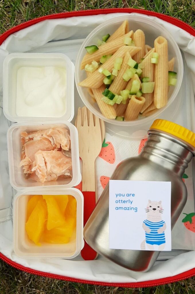 Healthy Packed Lunches for Children