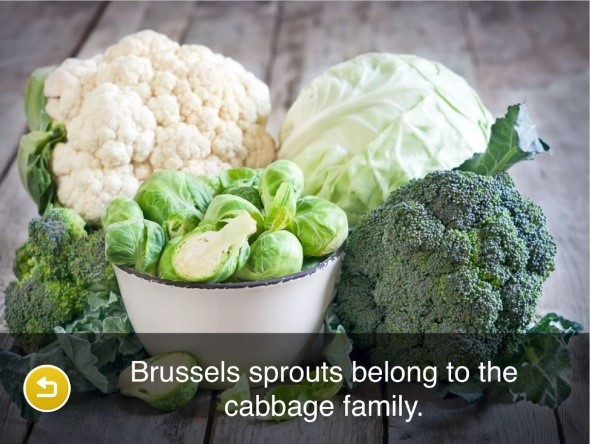 See & Eat Resources: Helping Children to Eat More Veg