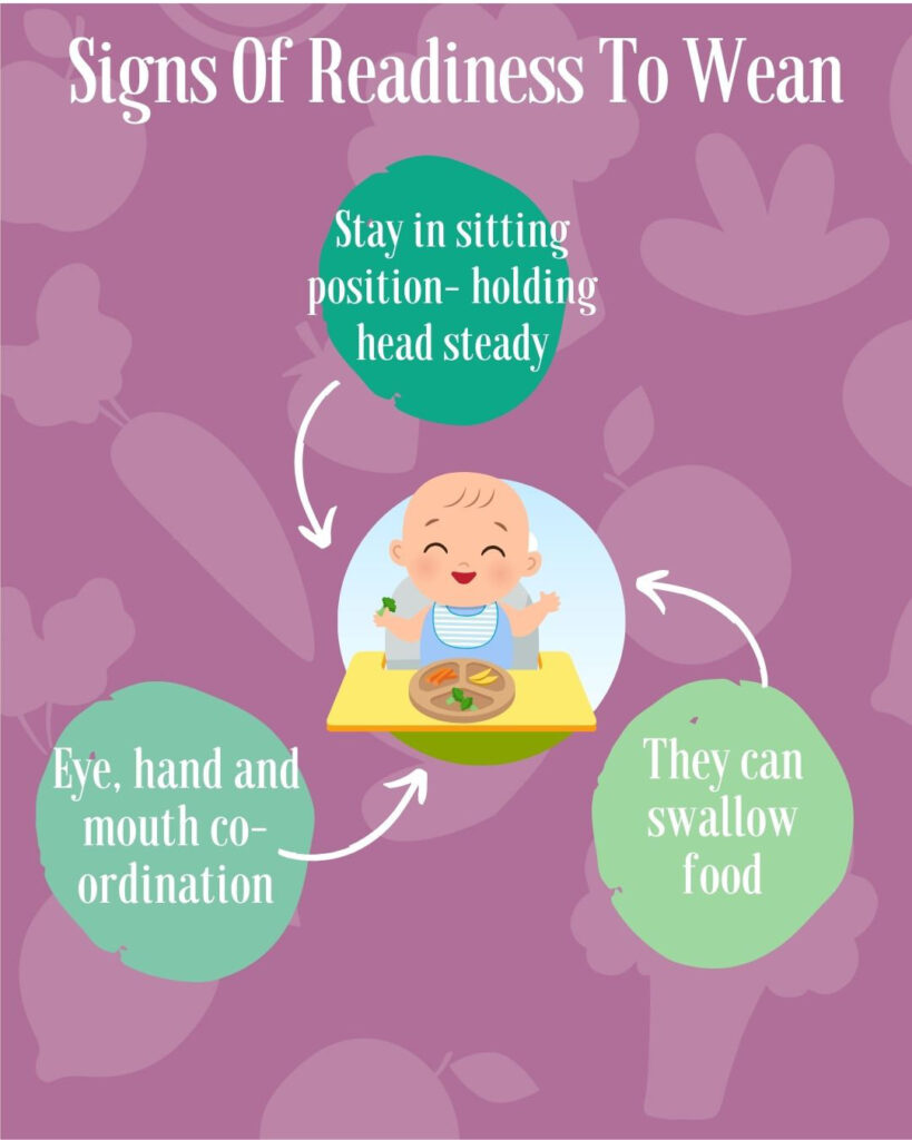 When Do I Start My Baby on Solid Food?