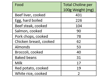 Nutrients in Focus: Choline