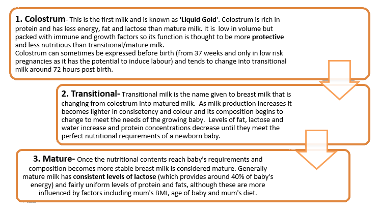 Breast Milk and How It Varies