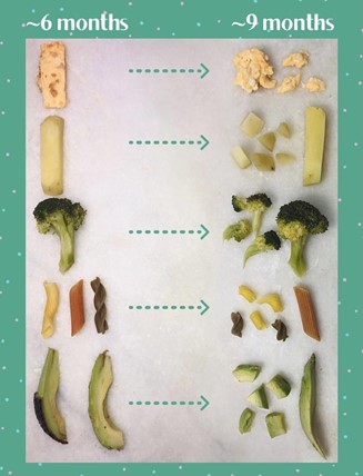 How to Serve Finger Foods to Baby from 6-12 months