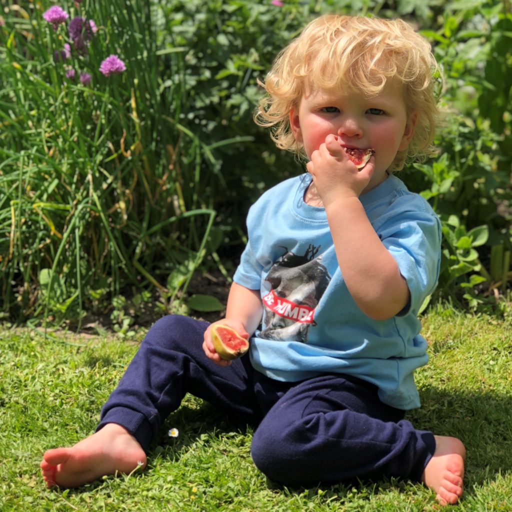 Fruit for Babies and Toddlers