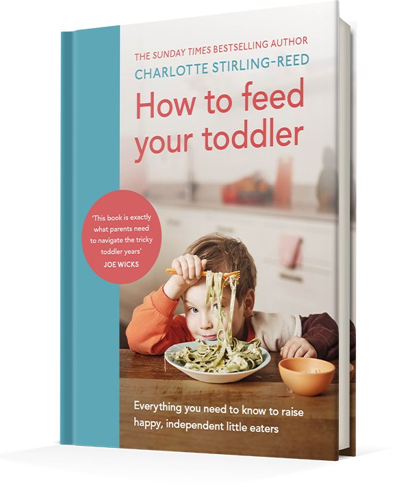Snacks for Toddlers and Young Children
