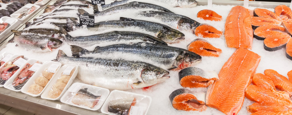 Fish Recommendations For Babies and Toddlers
