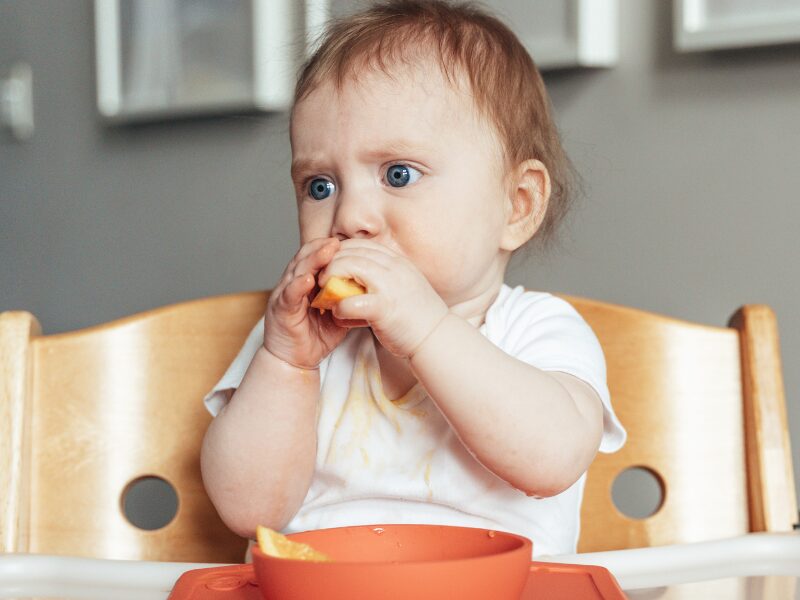 Plant-based Eating for Children
